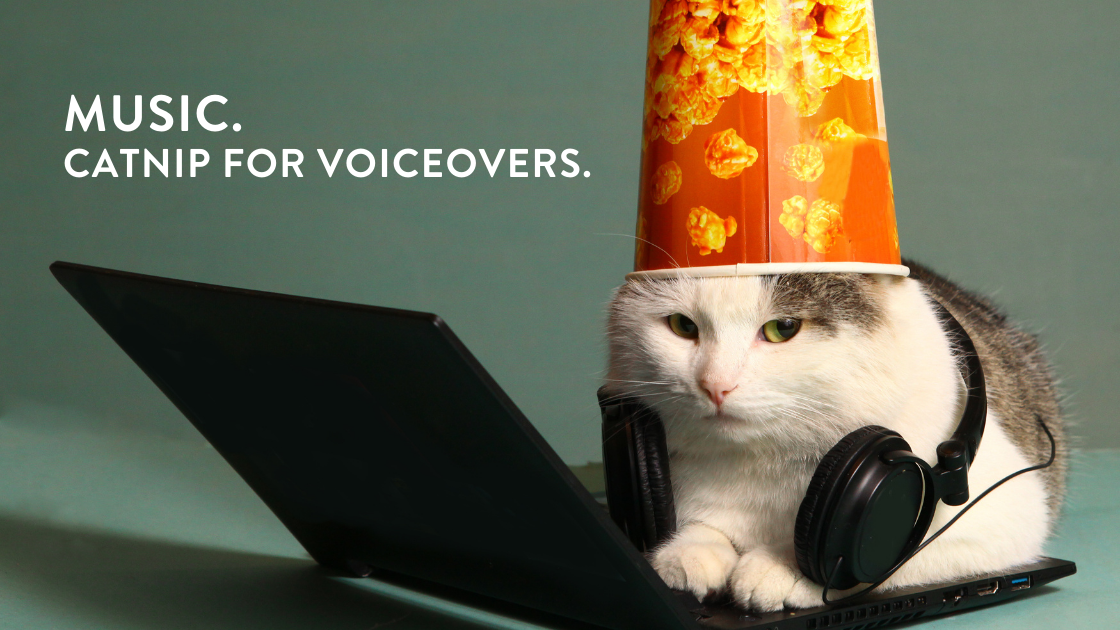 music-catnip-for-voiceovers
